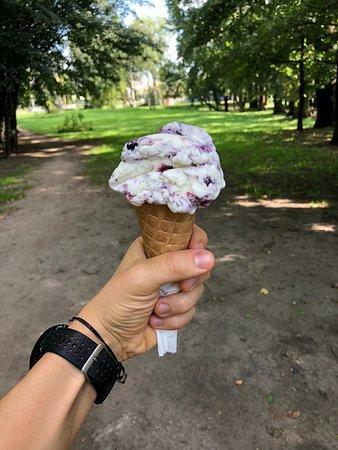 Lody naturalne z Krzyckiej